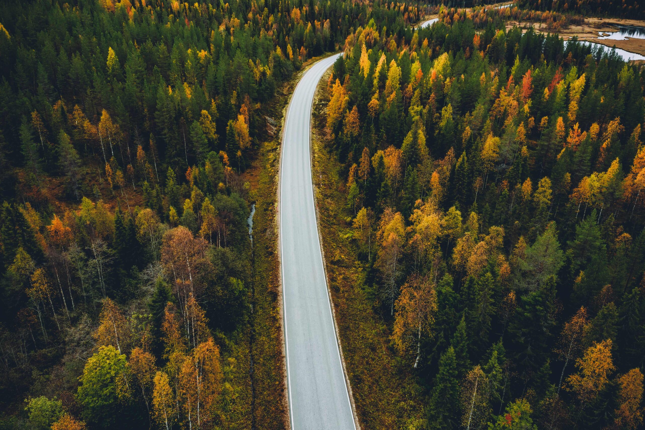 Trayectoria 2050: el camino del cemento argentino