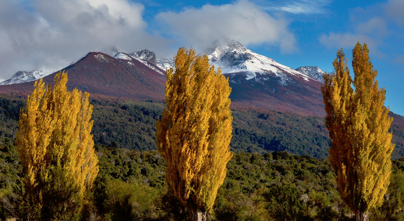 Eje 09 Capturas CCUS y SbN